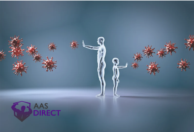  Kpv Peptide Vs Bpc 157