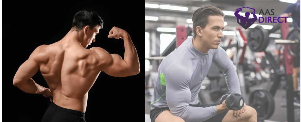 Oxandrolone 10mg Dosage For Bodybuilding